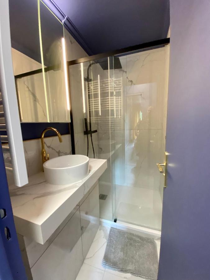 Luxury Paris La Vie En Rose Jacuzzi Terrasse Parkingアパートメント エクステリア 写真